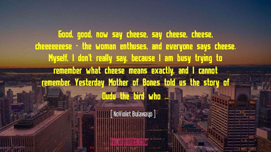 Say Cheese And Die quotes by NoViolet Bulawayo