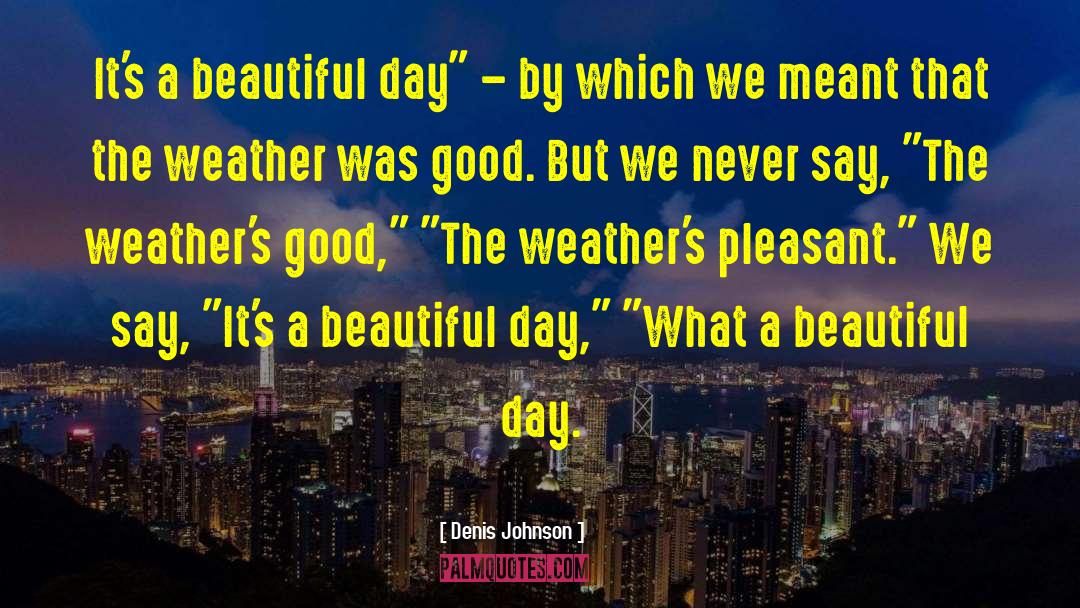 Say Good Things quotes by Denis Johnson