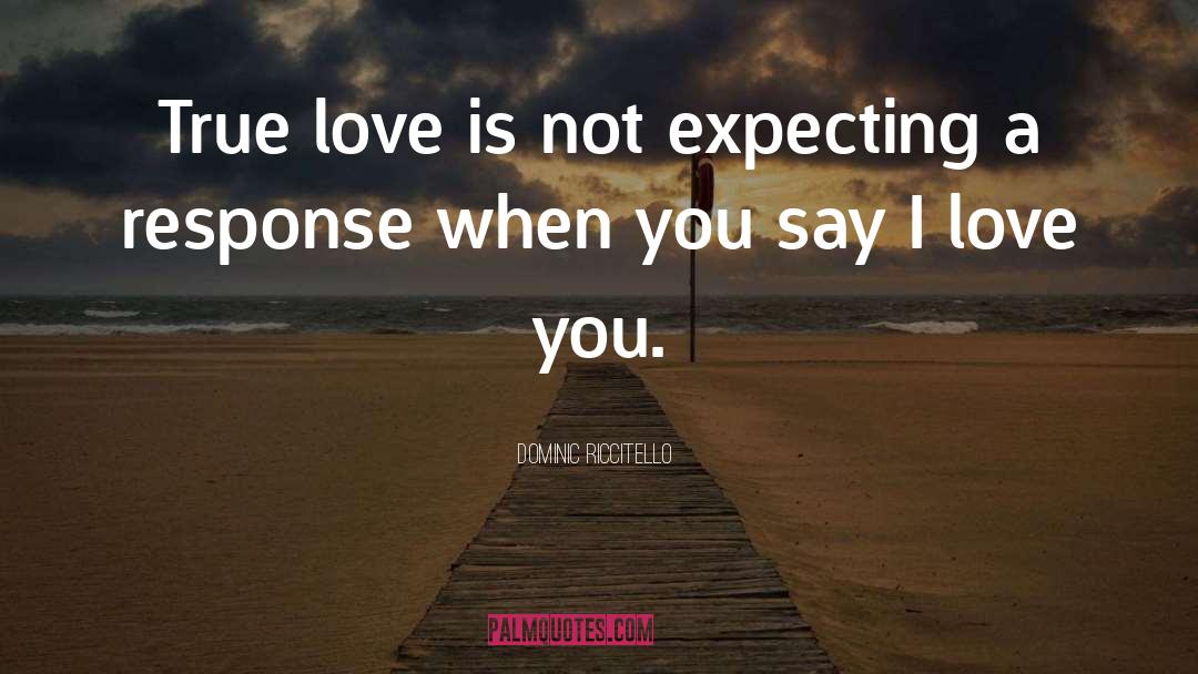 Say I Love You quotes by Dominic Riccitello