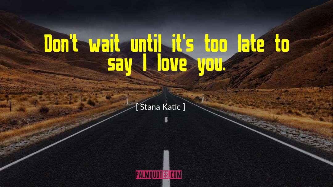 Say I Love You quotes by Stana Katic