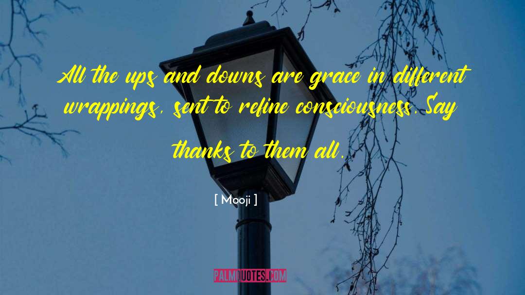 Say Thanks quotes by Mooji