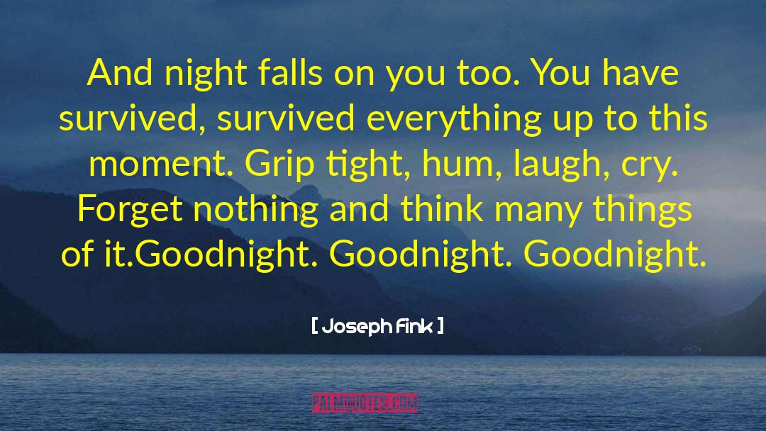 Saying Goodnight To Your Boyfriend quotes by Joseph Fink