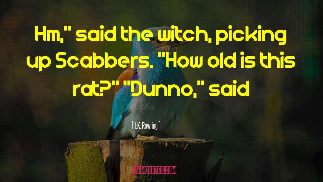 Scabbers quotes by J.K. Rowling