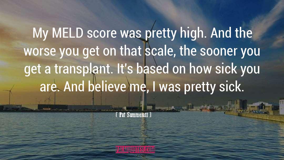 Scale quotes by Pat Summerall