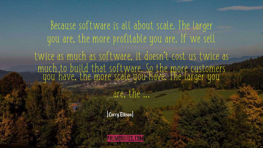 Scales quotes by Larry Ellison