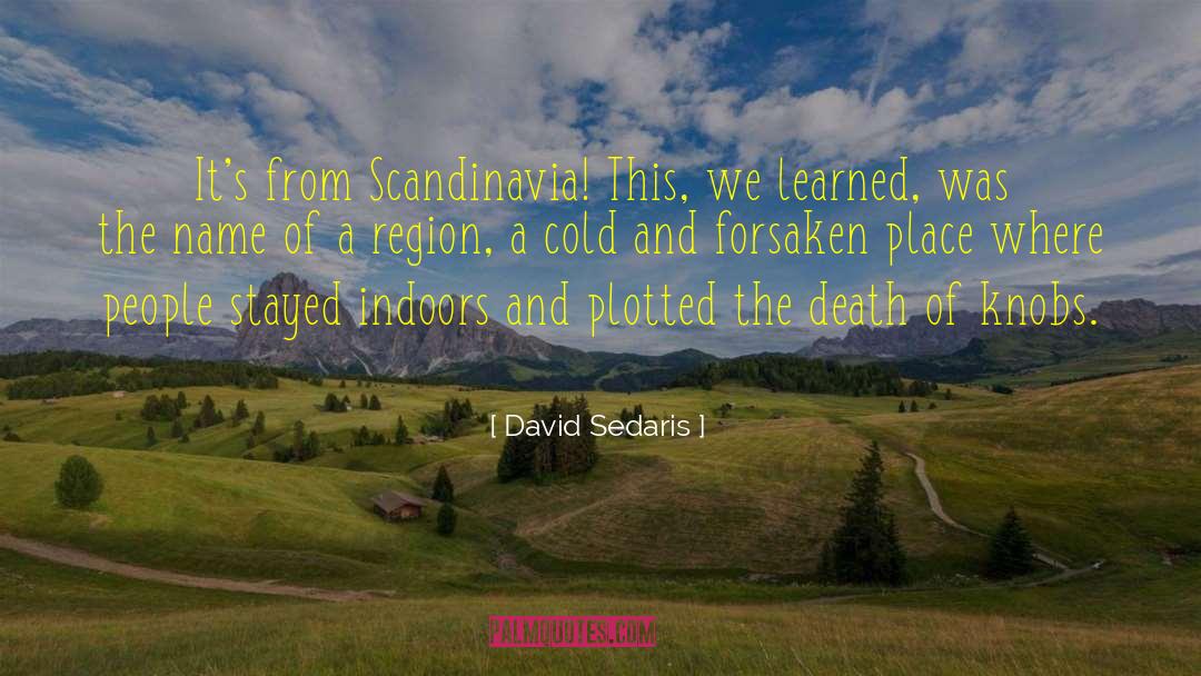 Scandinavia quotes by David Sedaris