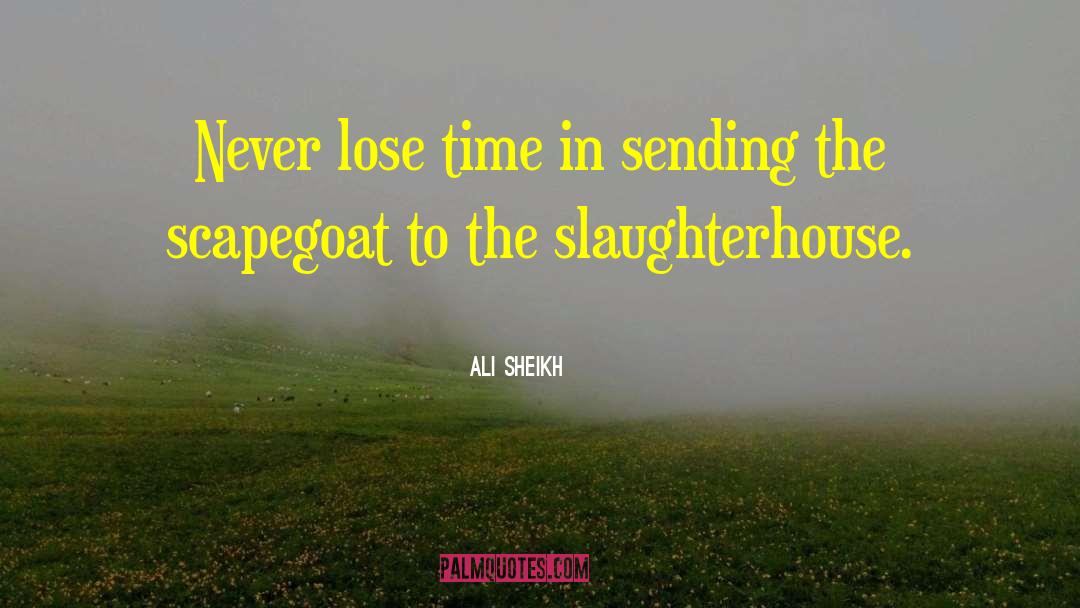 Scapegoat quotes by Ali Sheikh