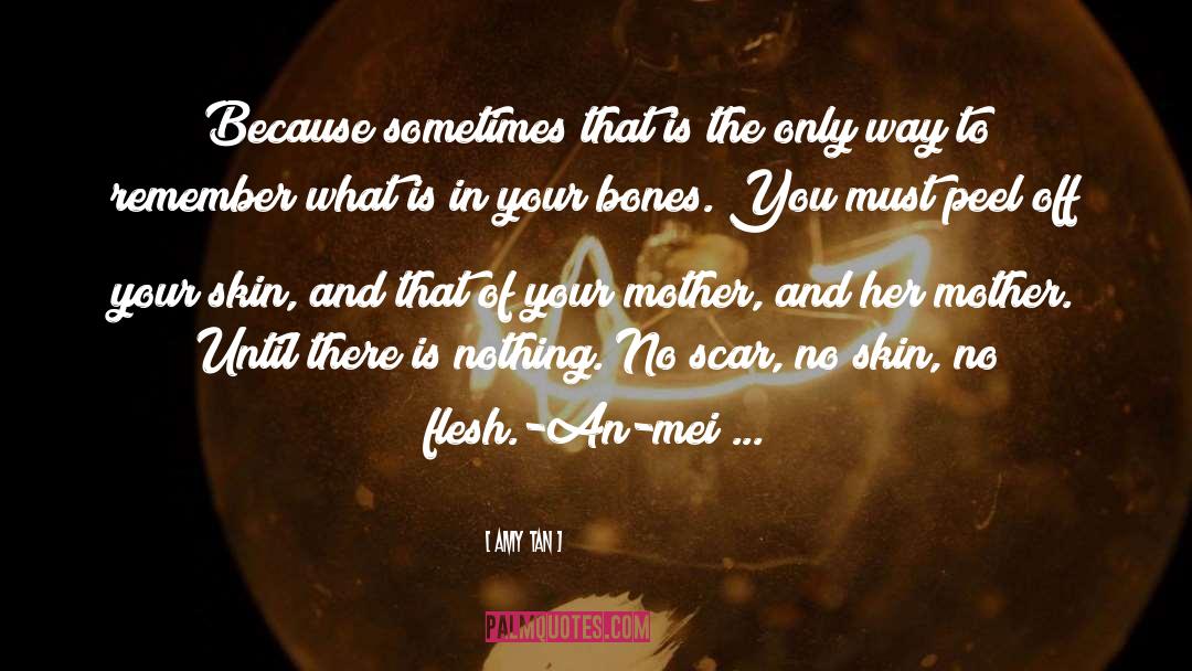 Scar quotes by Amy Tan