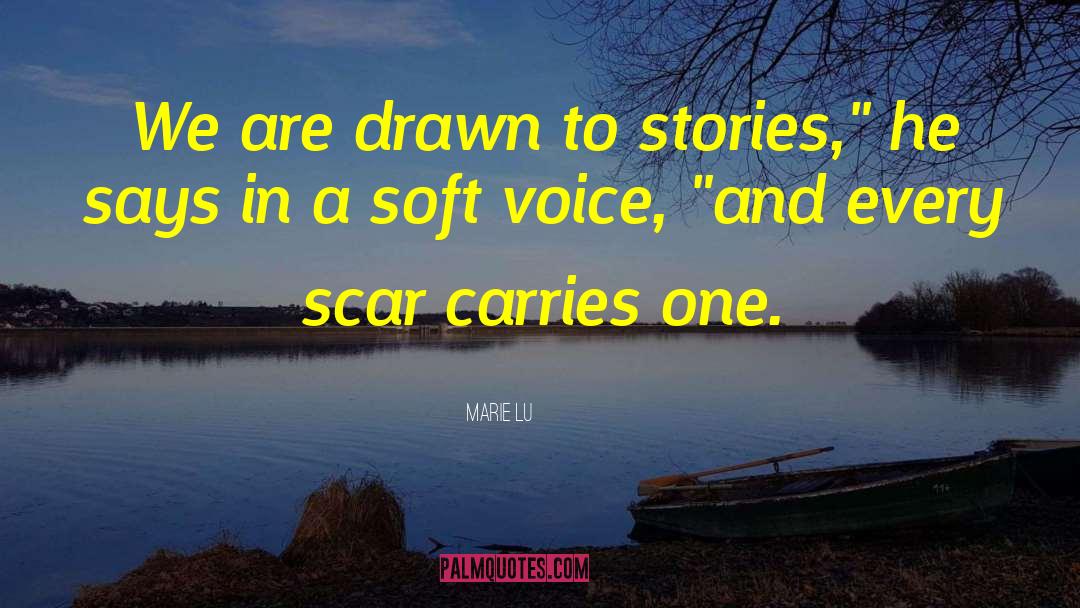 Scar Tissue quotes by Marie Lu