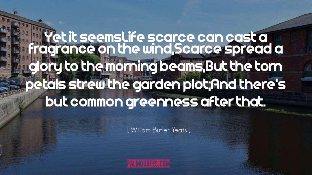 Scarce quotes by William Butler Yeats
