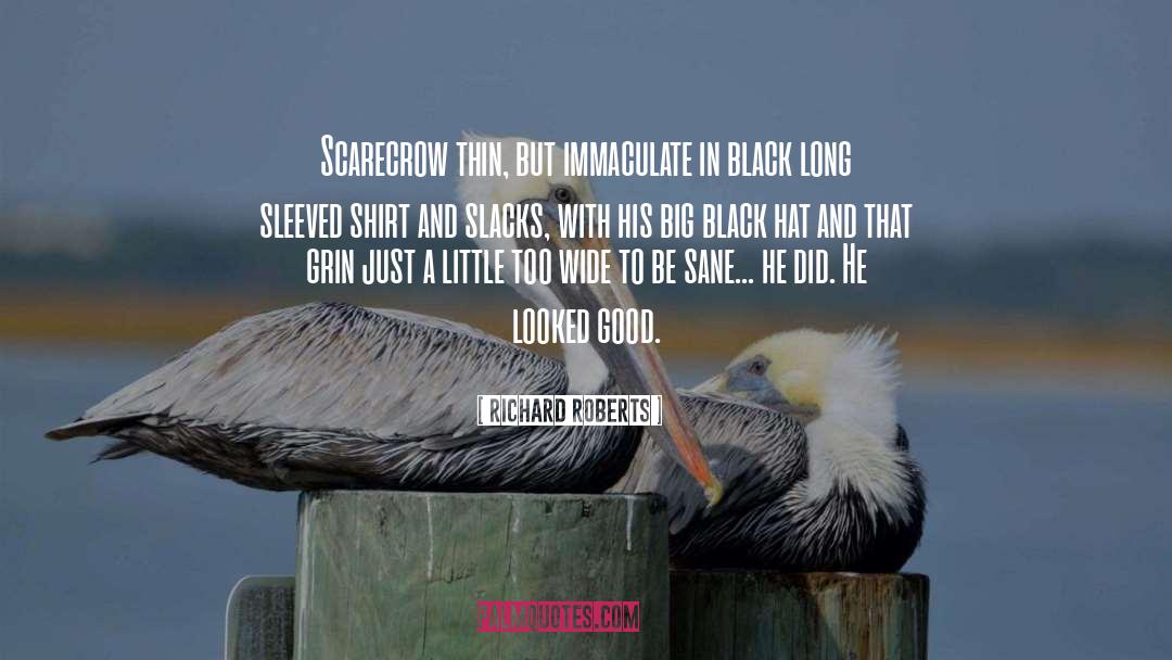 Scarecrow quotes by Richard Roberts