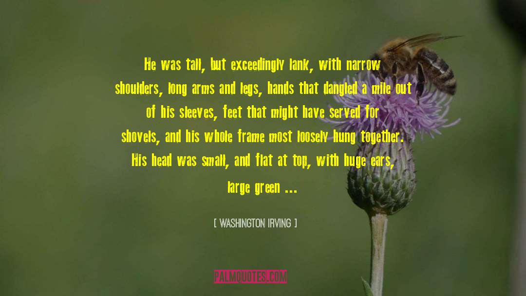 Scarecrow quotes by Washington Irving