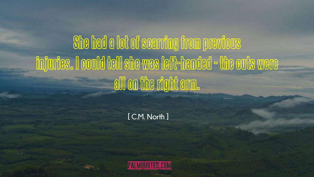 Scarring quotes by C.M. North
