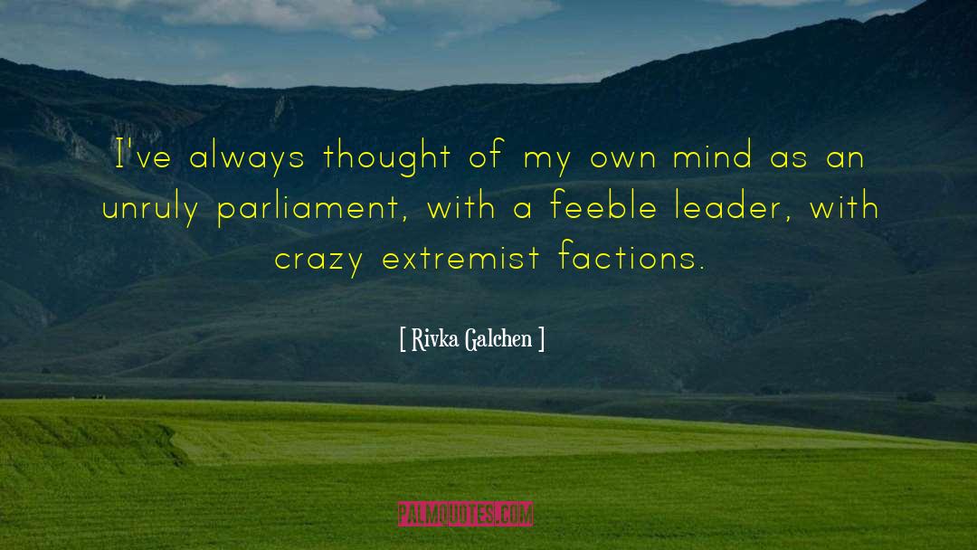 Scary Crazy quotes by Rivka Galchen