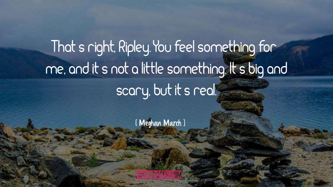 Scary Stuff quotes by Meghan March