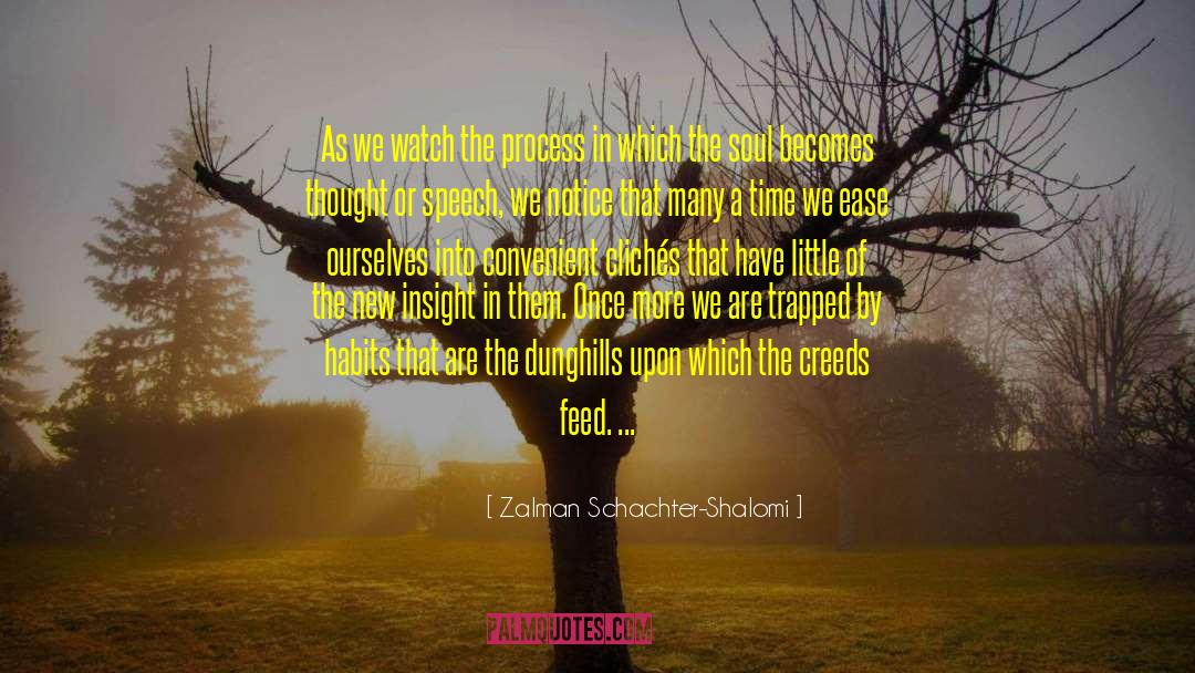 Schachter quotes by Zalman Schachter-Shalomi