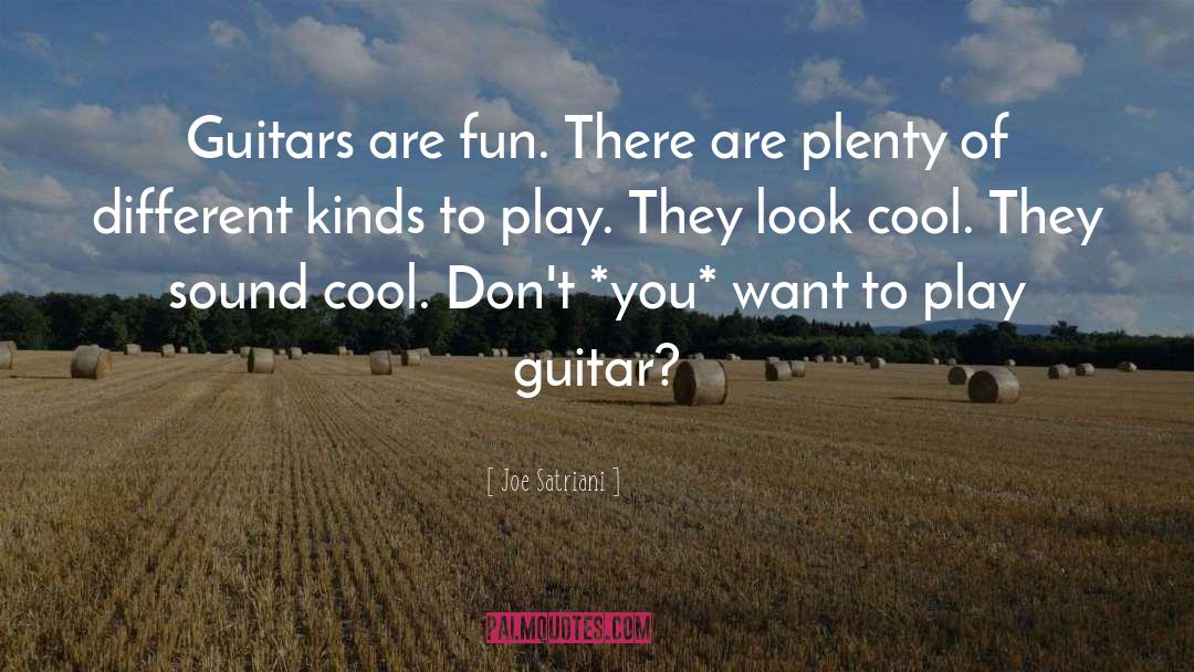 Schecter Guitars quotes by Joe Satriani