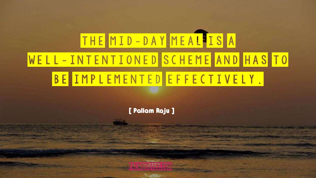 Schemes quotes by Pallam Raju