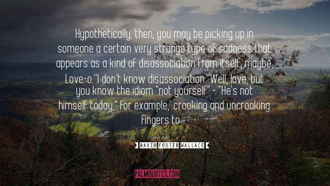 Schiefersteins Farm quotes by David Foster Wallace
