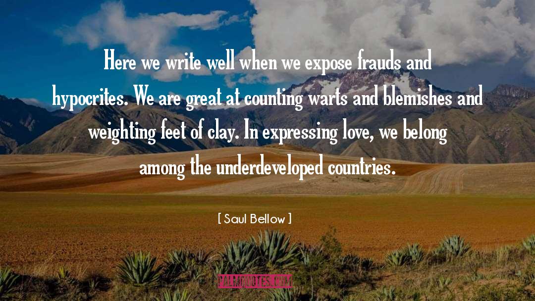 Schiesser Usa quotes by Saul Bellow