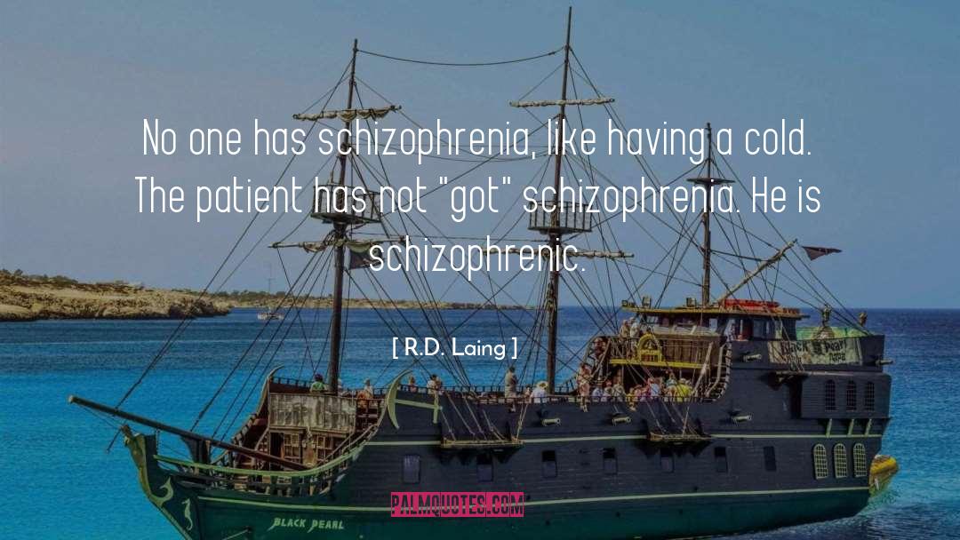 Schizophrenia quotes by R.D. Laing