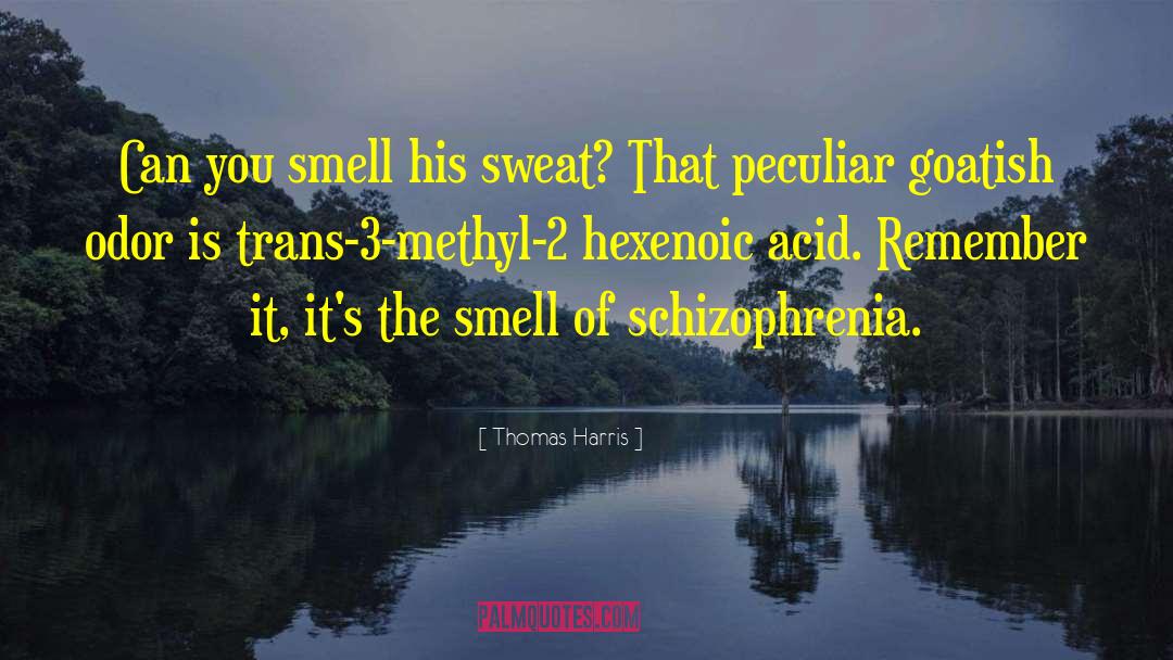Schizophrenia quotes by Thomas Harris