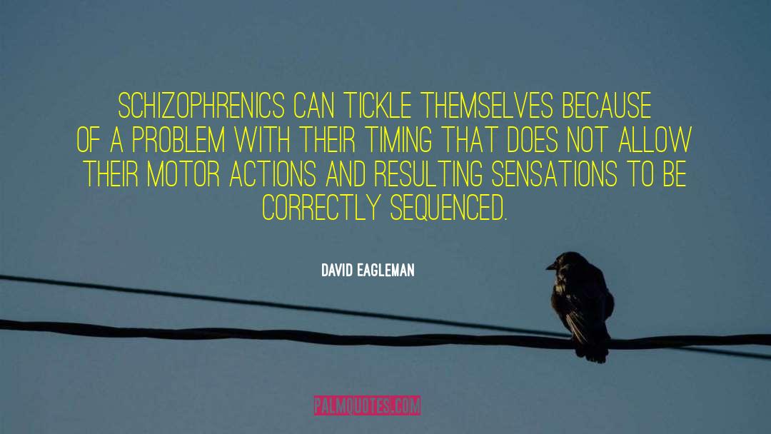 Schizophrenics quotes by David Eagleman