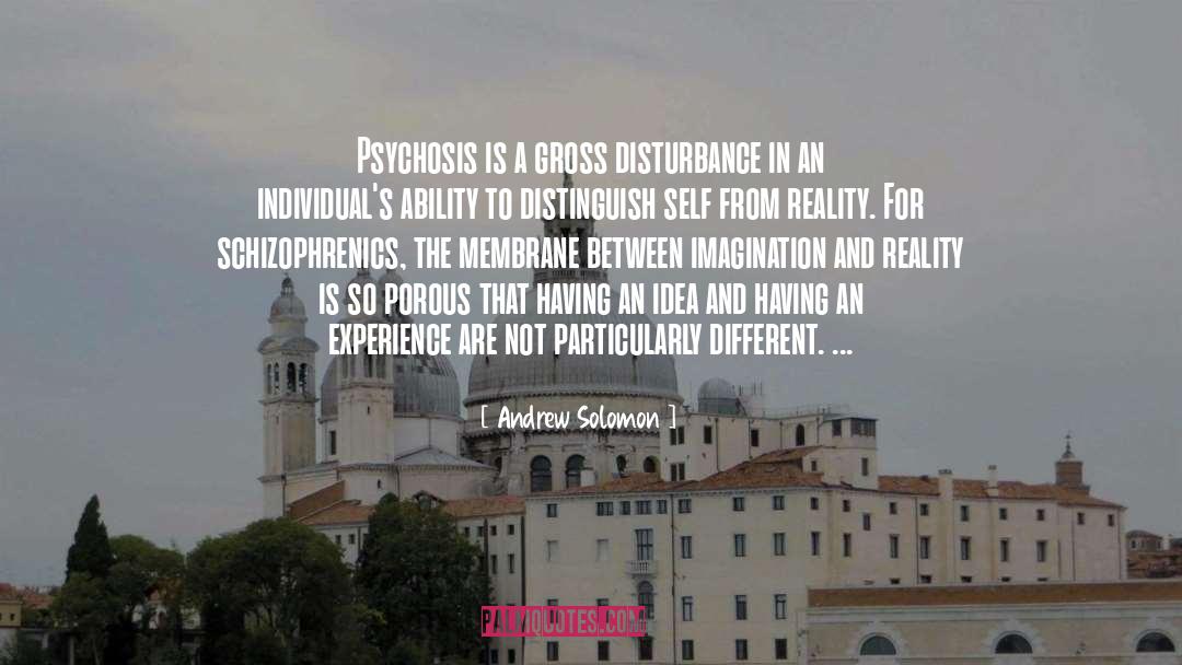 Schizophrenics quotes by Andrew Solomon