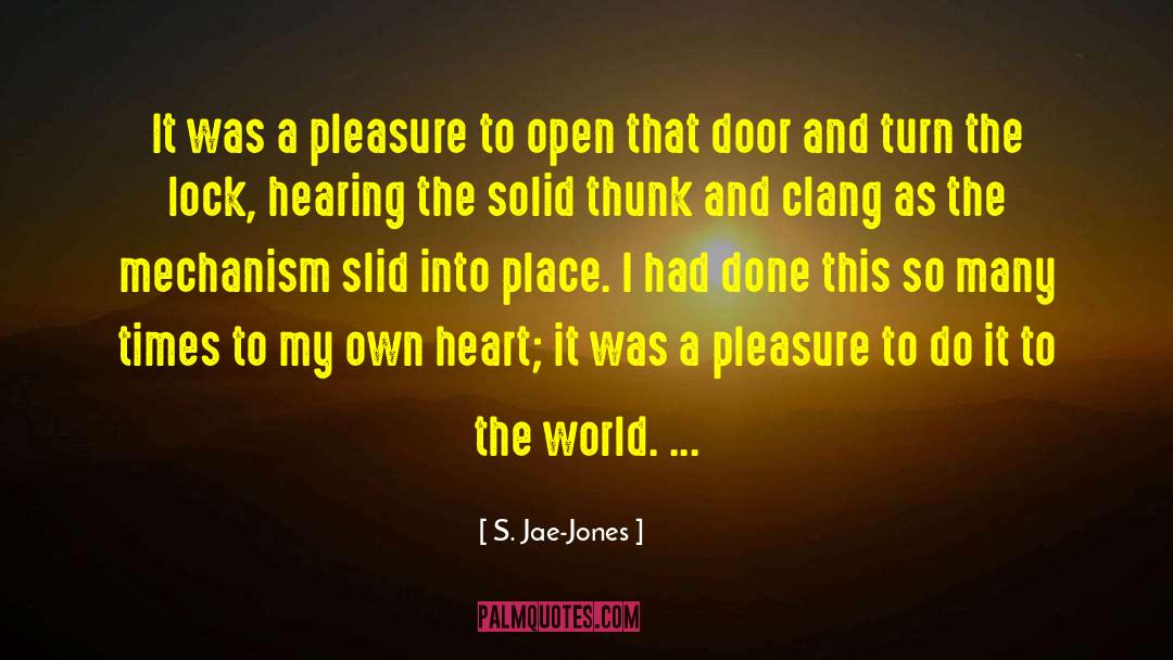 Schlage Lock quotes by S. Jae-Jones