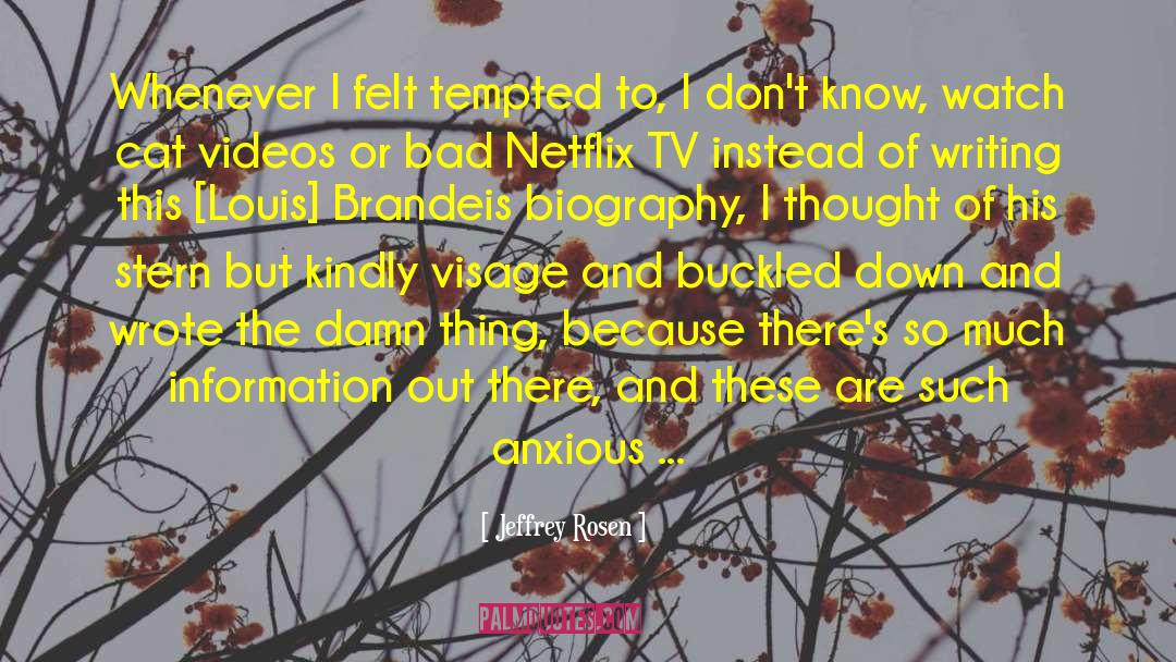 Schlissel Netflix quotes by Jeffrey Rosen