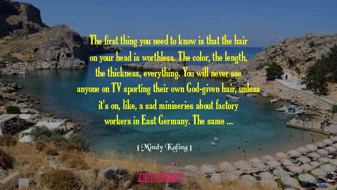 Schneidenbach Germany quotes by Mindy Kaling