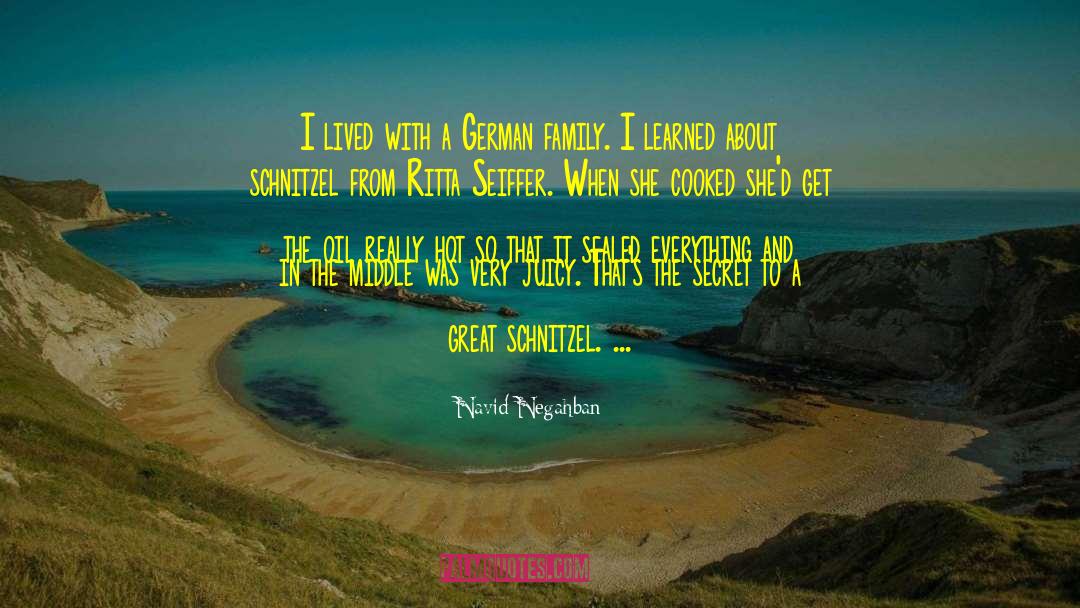 Schnitzel quotes by Navid Negahban
