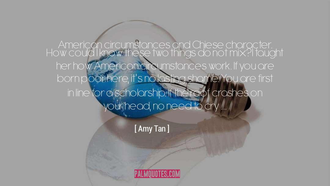 Scholarship quotes by Amy Tan