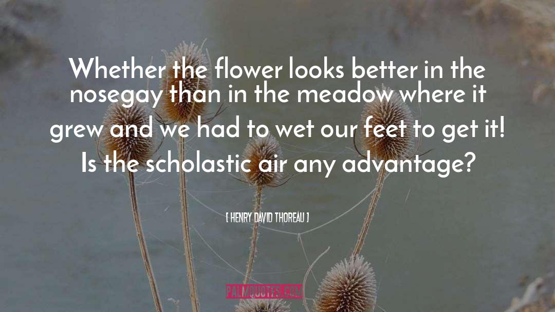 Scholastic quotes by Henry David Thoreau