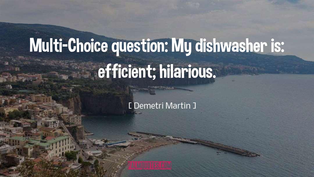 Scholtes Dishwashers quotes by Demetri Martin