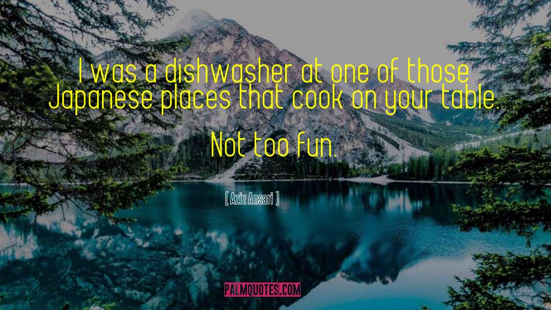 Scholtes Dishwashers quotes by Aziz Ansari