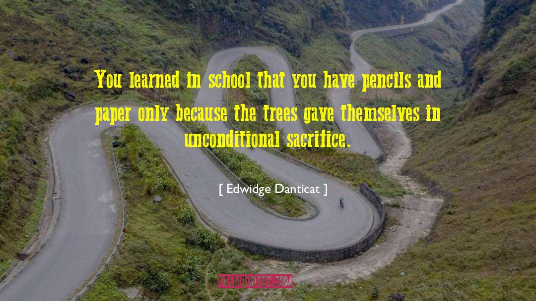 School Choice quotes by Edwidge Danticat