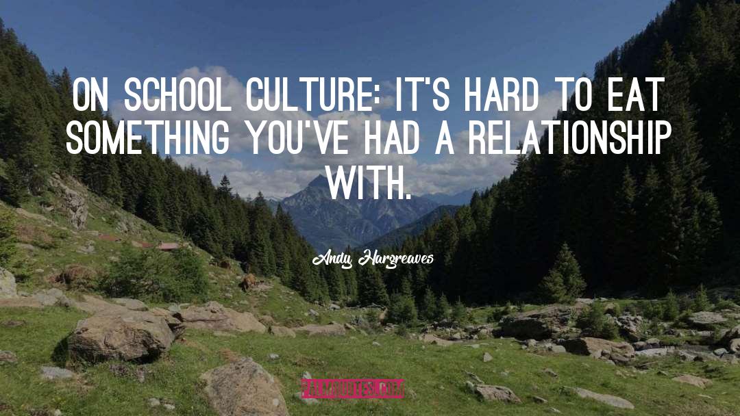 School Culture quotes by Andy Hargreaves