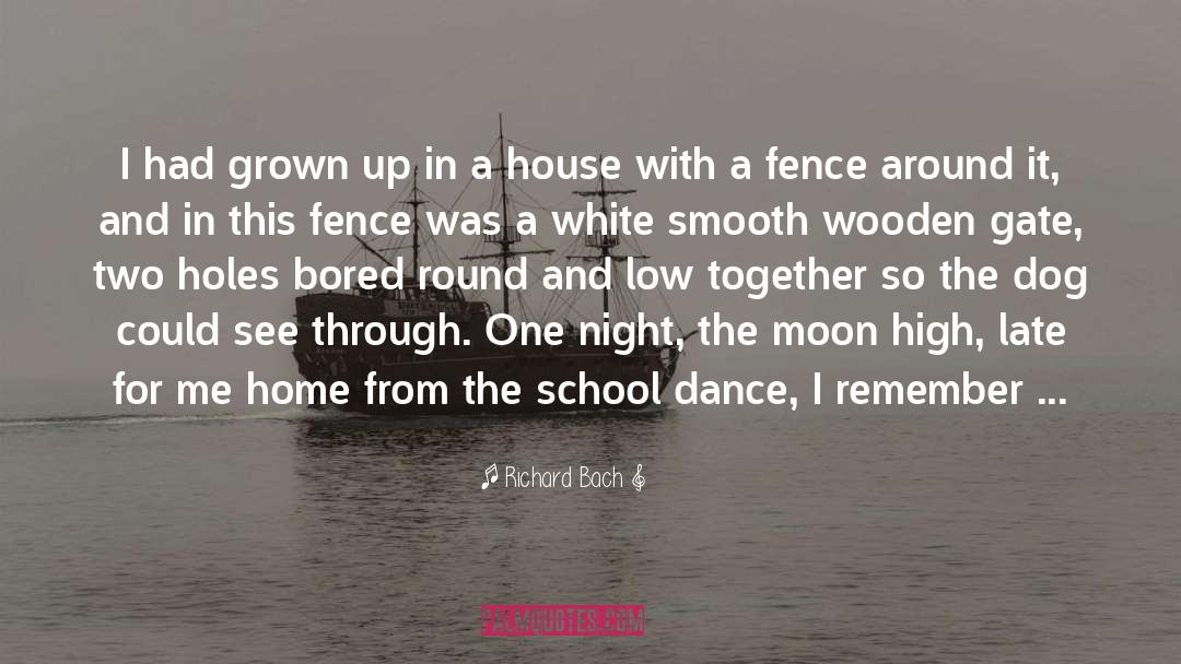 School Dance quotes by Richard Bach