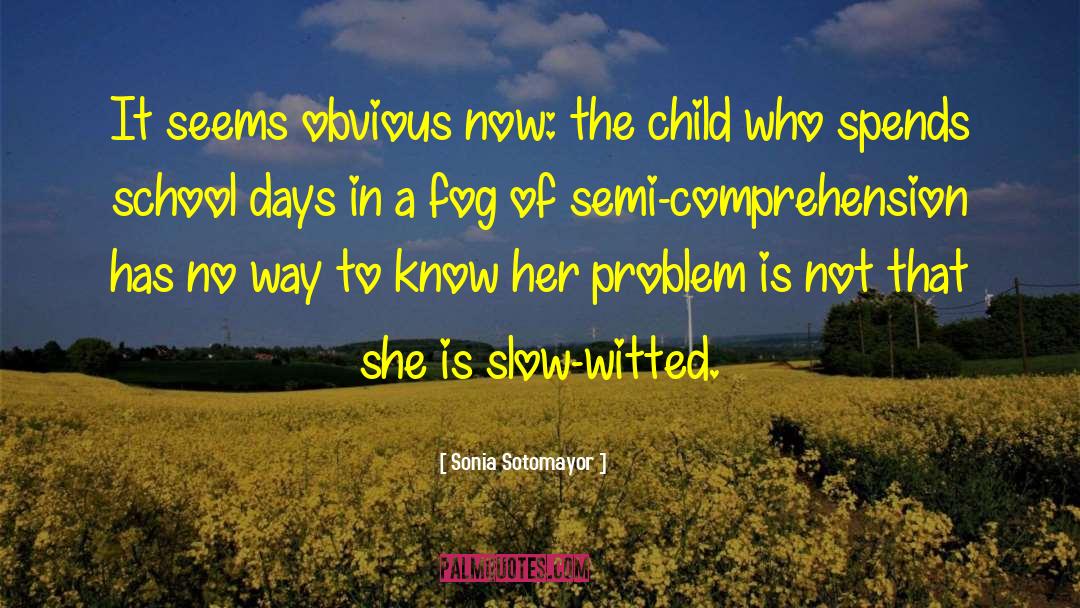 School Days quotes by Sonia Sotomayor