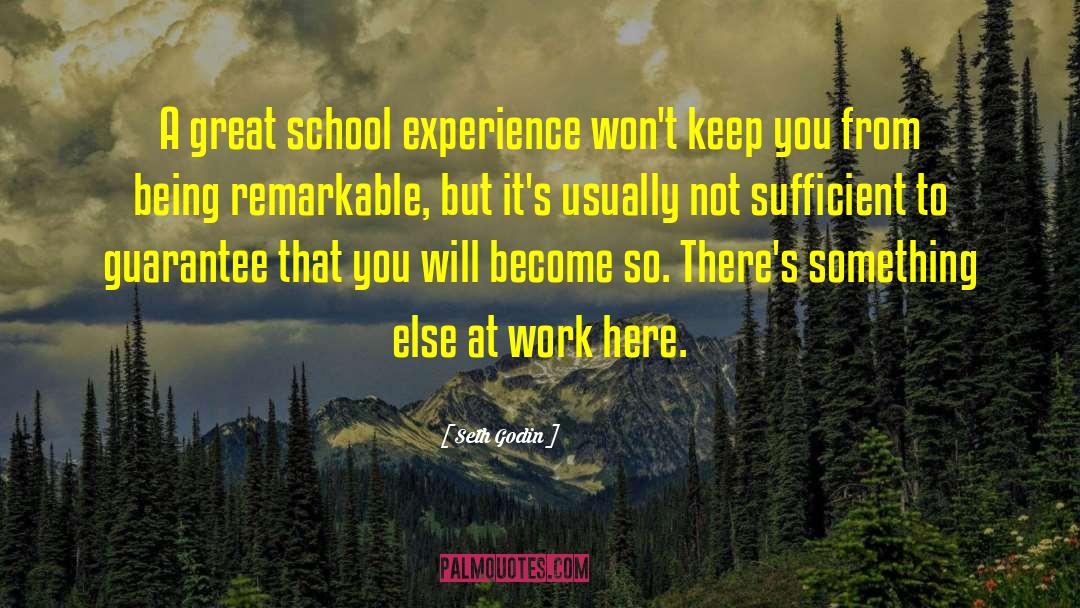 School Experience quotes by Seth Godin