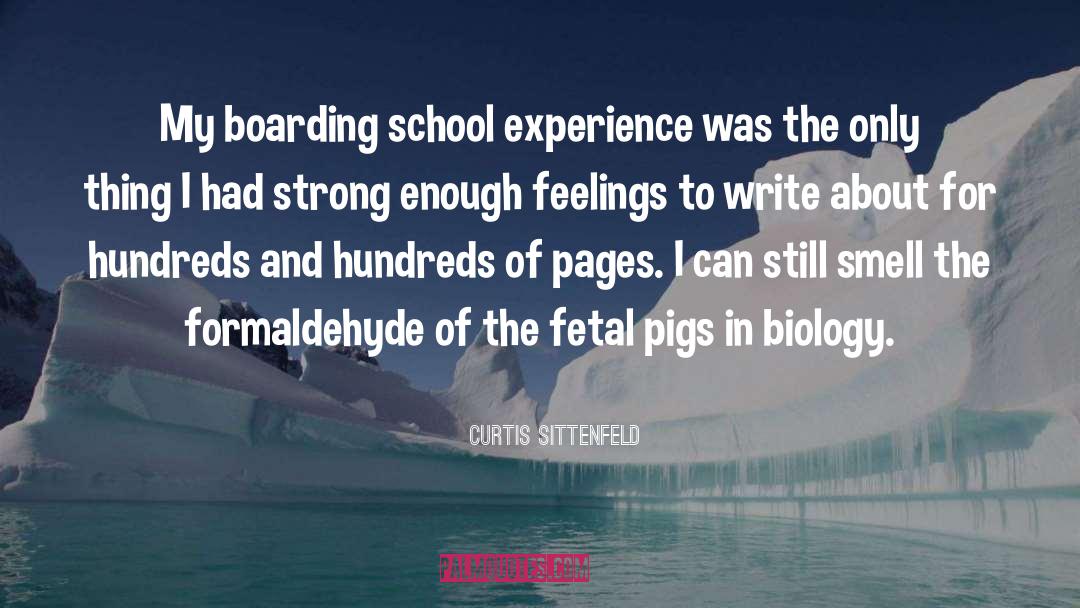 School Experience quotes by Curtis Sittenfeld