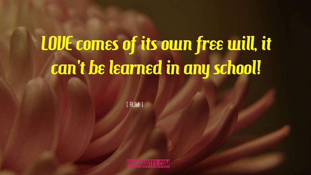 School Funding quotes by Rumi