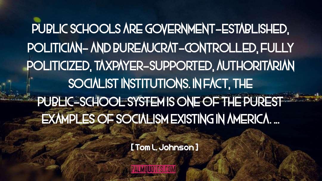 School System quotes by Tom L. Johnson