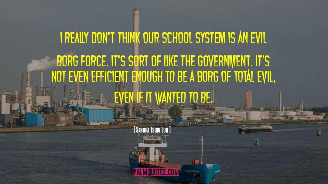 School System quotes by Sandra Tsing Loh