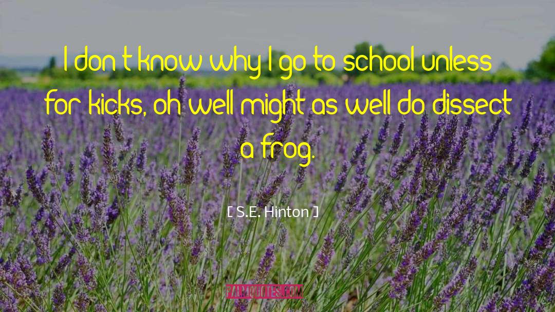 School Uniform quotes by S.E. Hinton