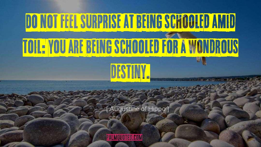 Schooled quotes by Augustine Of Hippo