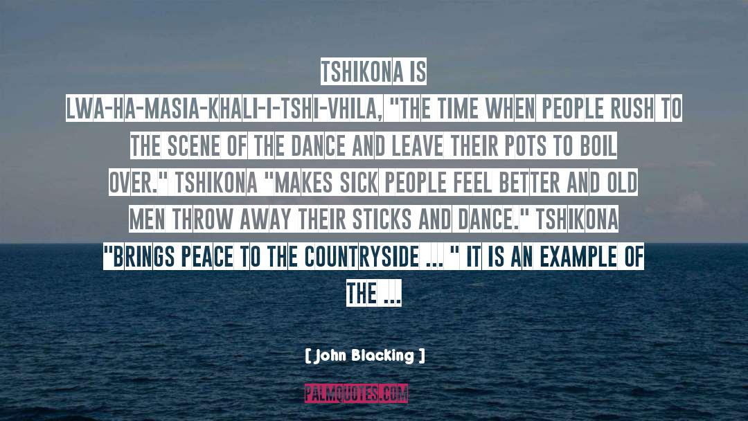 Schools And Community quotes by John Blacking