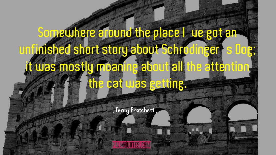 Schrodinger quotes by Terry Pratchett