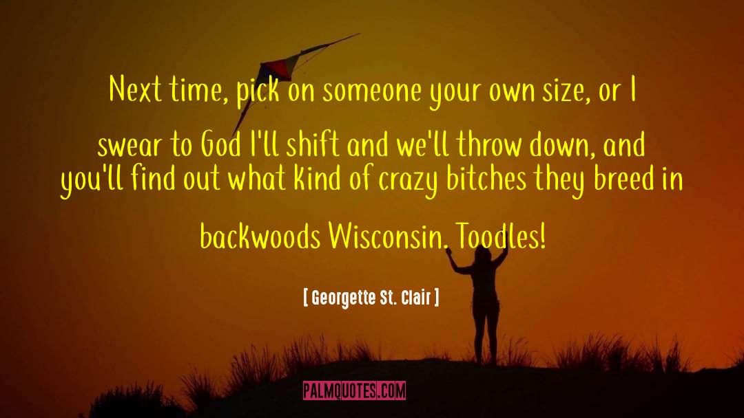 Schulberg Wisconsin quotes by Georgette St. Clair